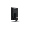Eizo RadiForce MX217 - 21
