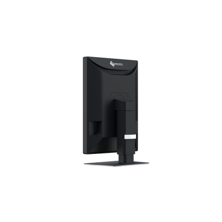 Eizo RadiForce MX217 - 21