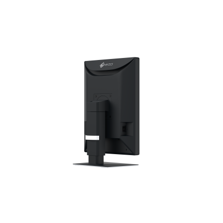 Eizo RadiForce MX217 - 21