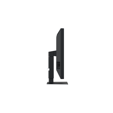 Eizo RadiForce MX217 - 21