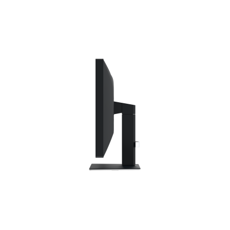 Eizo RadiForce MX317 - 30,5