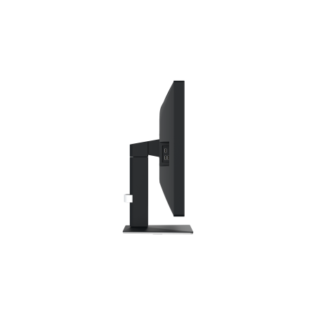 Eizo RadiForce MX317 - 30,5