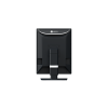Eizo RadiForce RX270 - 21,3