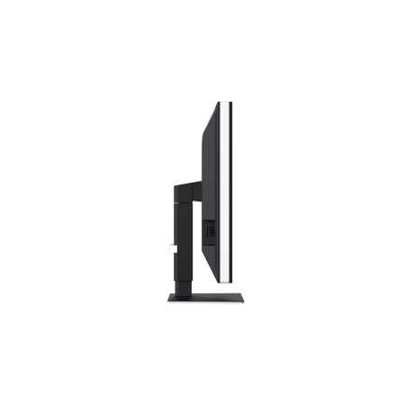 Eizo RadiForce RX270 - 21,3