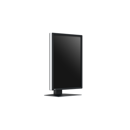 Eizo RadiForce RX270 - 21,3
