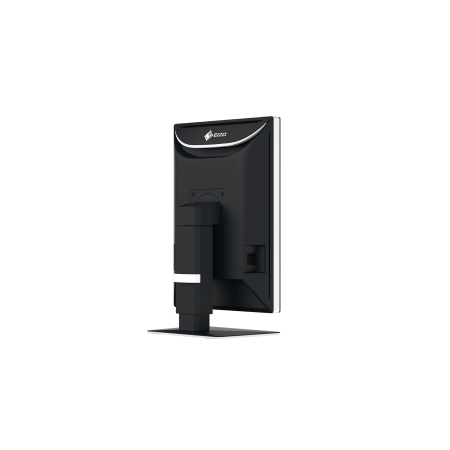 Eizo RadiForce RX370 - 21,3