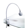 Lampa Badawczo-Zabiegowa FLH-2 LED, z mocowaniem do stolika (z gęsią szyją, bezcieniowa)