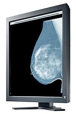 Monitor monochromatyczny Eizo RadiForce GS320 21,3