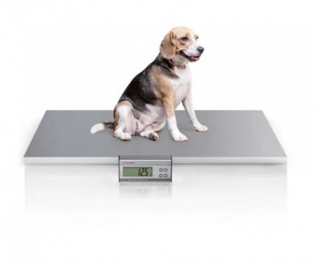 Elektroniczna waga weterynaryjna CHARDER VS 2400 (przewód 5 m)